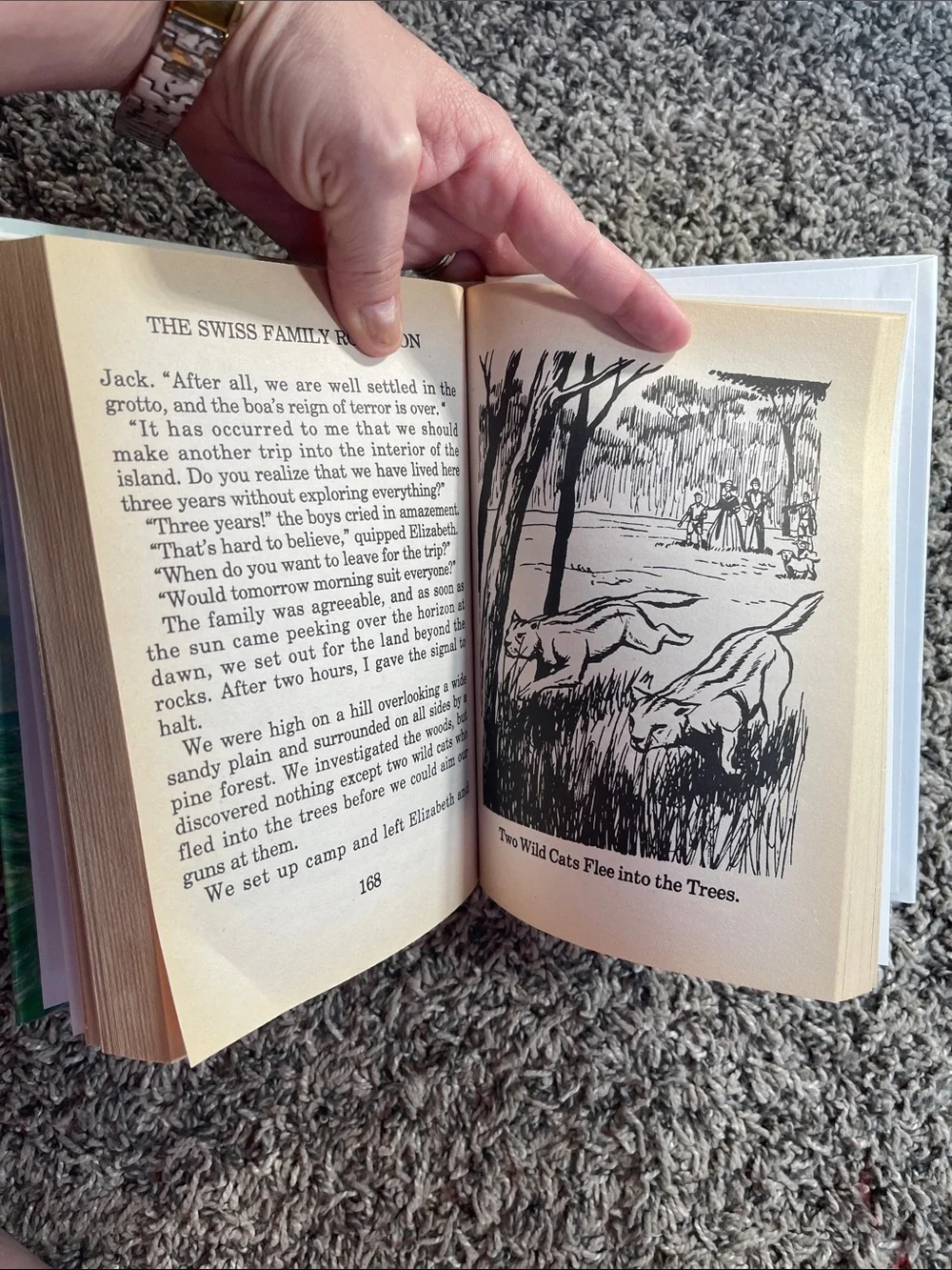 Book: the Swiss family Robinson by Johann Wyss